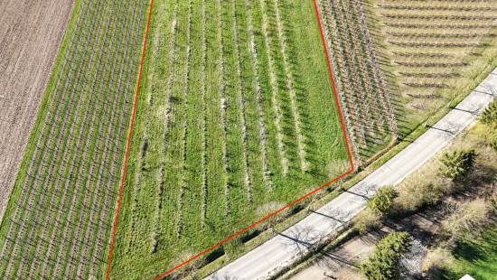 Egovenstraat - zn - - 3800