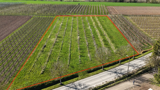 Egovenstraat - zn - - 3800