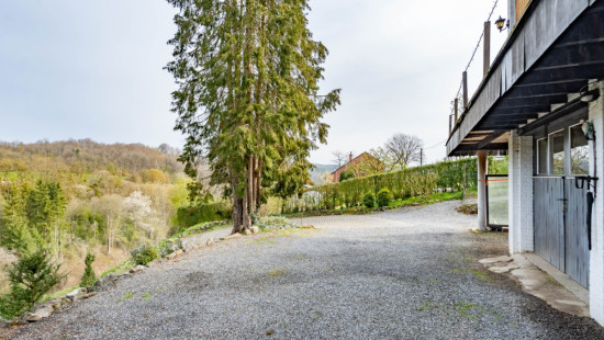 Chemin de Sy - 6 - - 6941