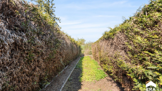 Kleine Molenstraat - 38 - - 3300