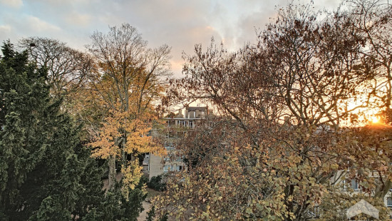 Rue Buchholtz - 1 - - 1050