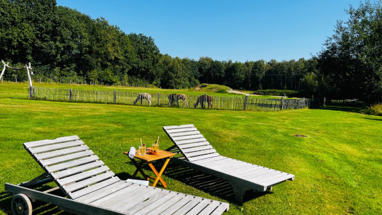 Mathias Geysenstraat - 157 - - 3582