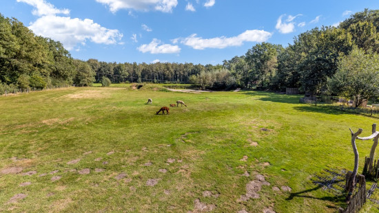 Mathias Geysenstraat - 157 - - 3582