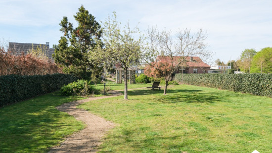 Molenbergstraat - 65 - - 2230