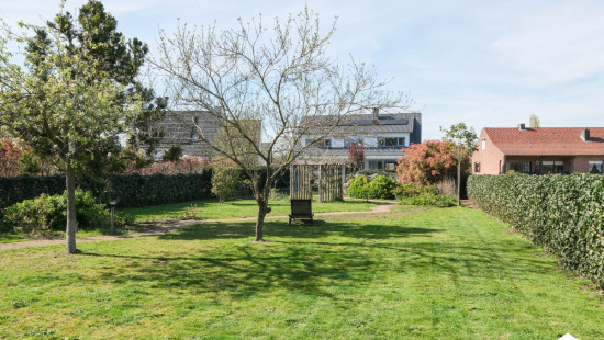 Molenbergstraat - 65 - - 2230