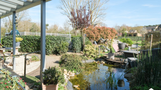 Molenbergstraat - 65 - - 2230