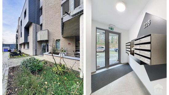 Chaussée de Nivelles - 226 - D31 - D31 - 1420