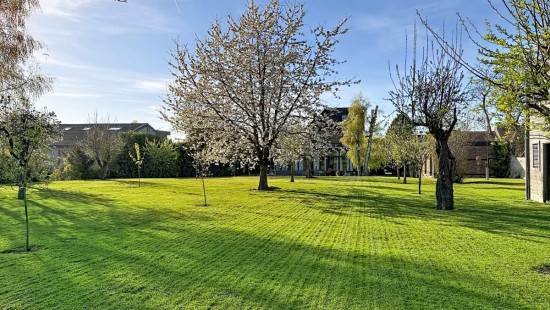 Rue de Petit-Axhe - 23 - - 4300