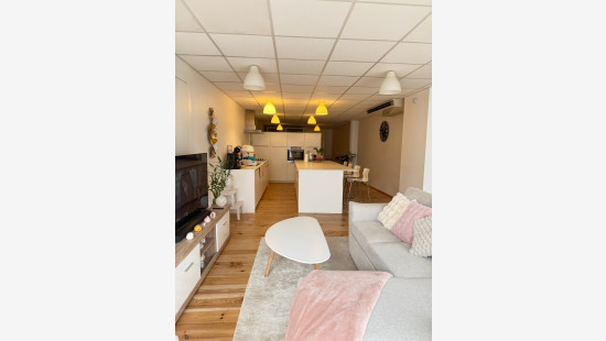 Lanestraat - 119 - - 3090