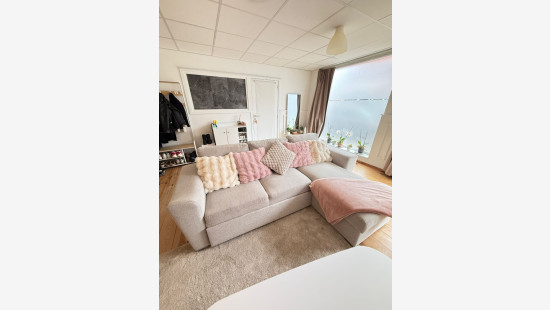 Lanestraat - 119 - - 3090