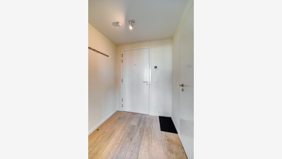 Allée Louise Van den Plas - 1 - D53 - 1200