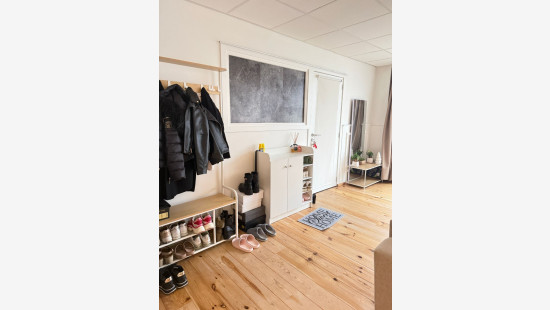 Lanestraat - 119 - - 3090