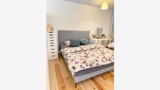 Lanestraat - 119 - - 3090