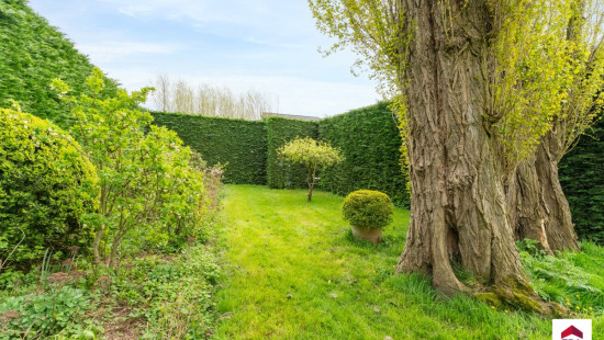 Hollebeekstraat - 16 - - 8700