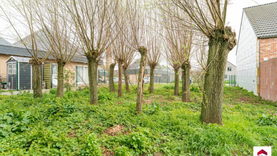 Hollebeekstraat - 16 - - 8700