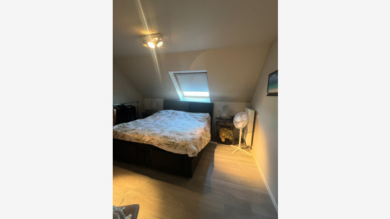 Desselgem-Dries - 3 - - 8792