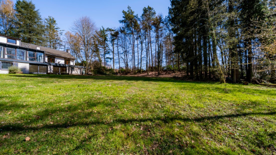 Rue du Chalet - 43 - - 6747