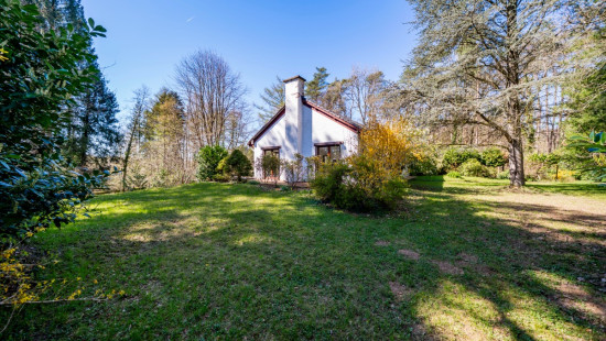 Rue du Chalet - 43 - - 6747