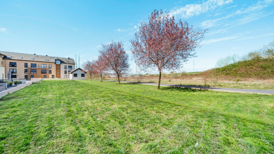 Avenue de la Gare - 32 - D - 6790