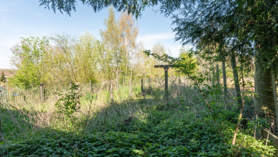 Ten Bosse - 72 - - 9620