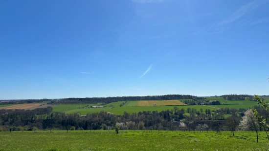 Grand-Marchin - 47 - - 4570