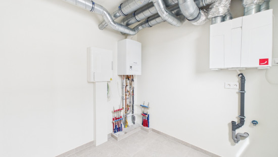 Rue Haynol - 6F - /12 - 6800