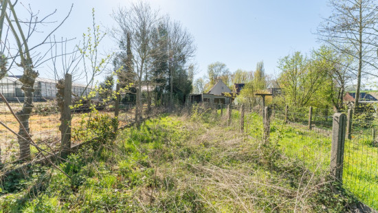 Ten Bosse - 72 - - 9620