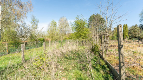 Ten Bosse - 72 - - 9620