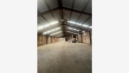 Papegaaistraat - 12 - - 8790