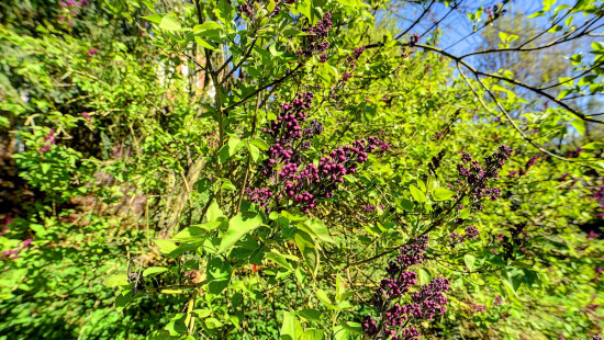 Brusselsesteenweg - 161 en 163 - - 3080