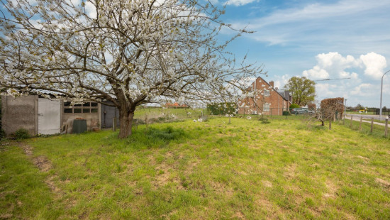 Merksplasseweg - 93 - - 2340