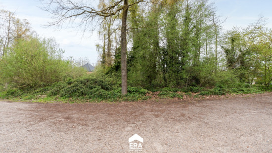 Opstraat - 79 - - 3960