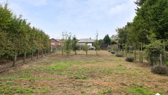 Goerenstraat - 18 - - 3560