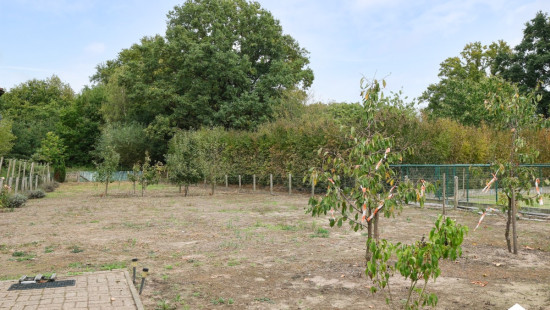 Goerenstraat - 18 - - 3560