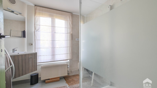 Rue du Mont-Blanc - 57 - - 1060