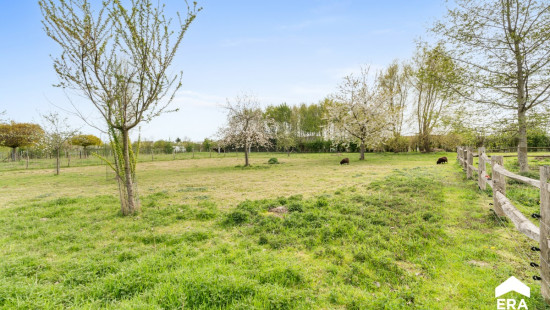 Lindestraat - 62 - - 3471