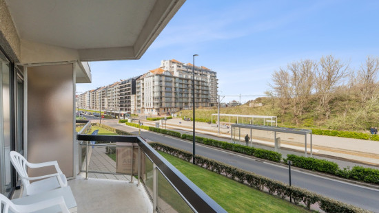 Ruzettelaan - 157 - 412 - 8370