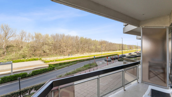 Ruzettelaan - 157 - 412 - 8370