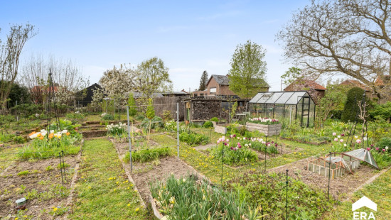 Lindestraat - 62 - - 3471