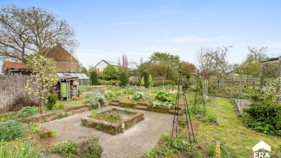 Lindestraat - 62 - - 3471