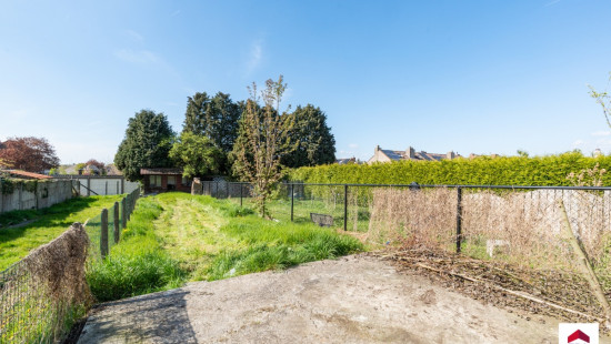 Biezeweide - 128 - - 1500