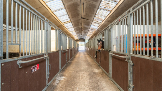 Rosweg - 68B - - 1750