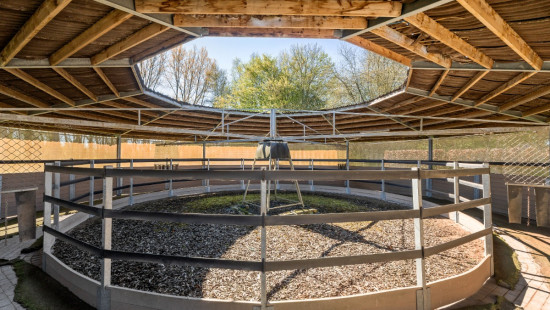 Rosweg - 68B - - 1750