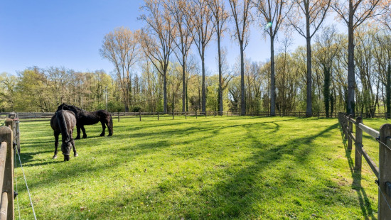 Rosweg - 68B - - 1750