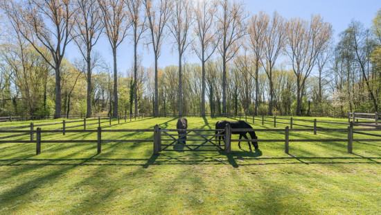 Rosweg - 68B - - 1750