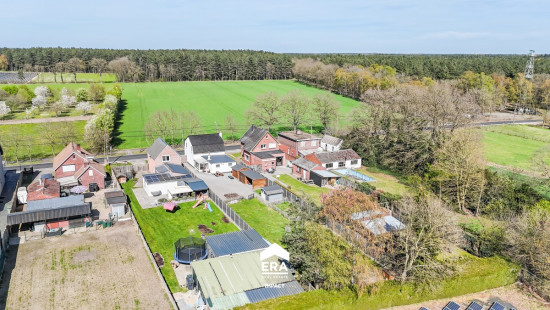 Torenstraat - 14 - - 3910