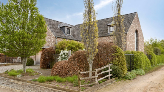 Groenstraat - 115 - - 3270