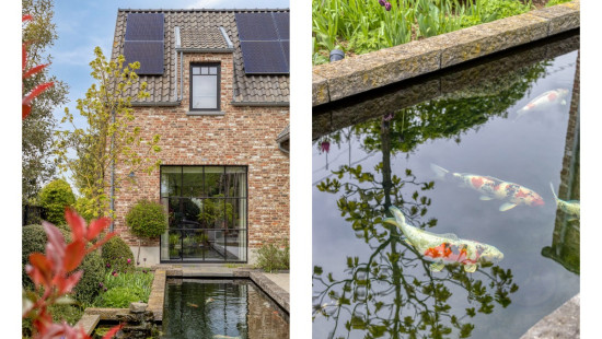 Groenstraat - 115 - - 3270