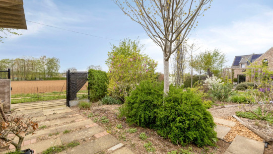 Groenstraat - 115 - - 3270