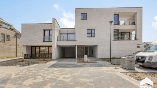 Hezerpad - zn - - B1.12 - 3920